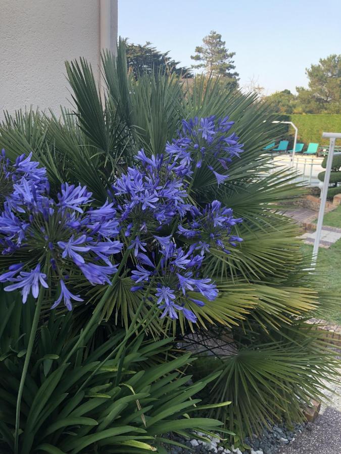 Villa Amare Granville Saint-Pair-sur-Mer Luaran gambar
